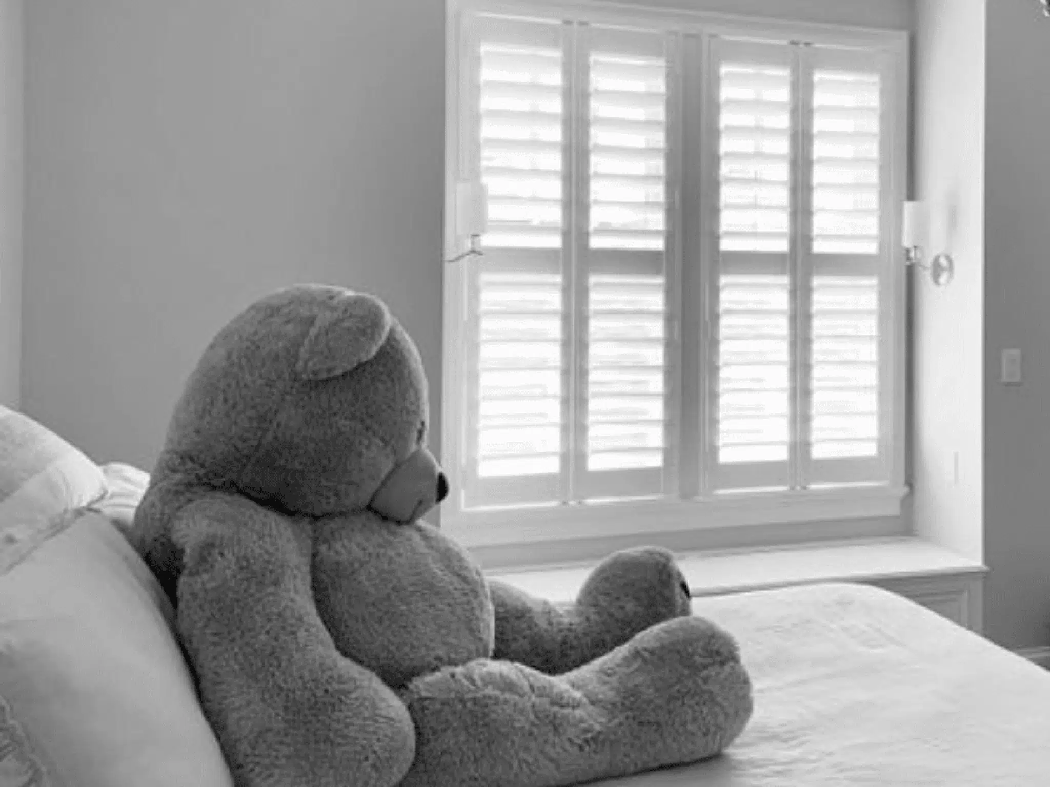 Window Coverings for Mid Century Modern Craftsman and Historic Homes What to Know WindowDecor Featured 1